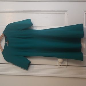 Banana Republic skater dress WITH POCKETS! 10